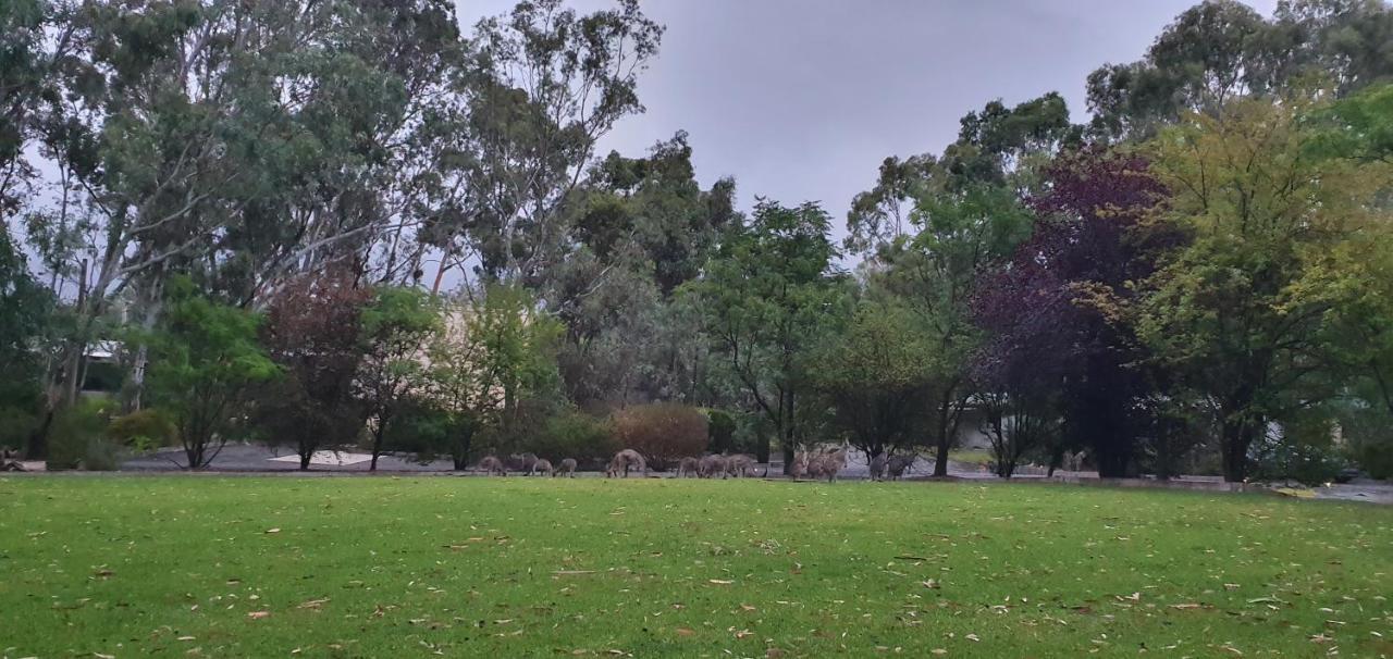 A-Line Holiday Park Bendigo Exteriör bild